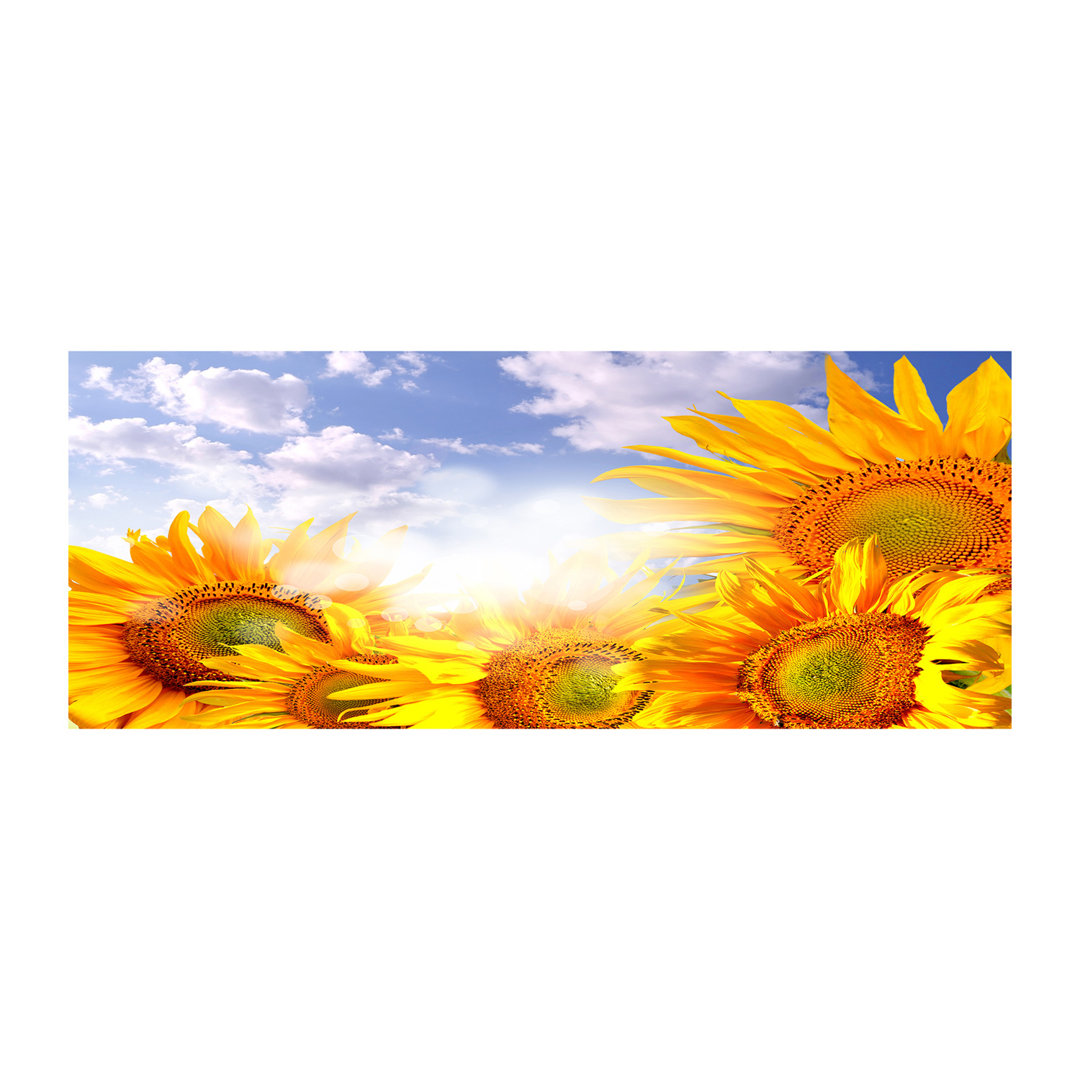 Sonnenblumen - Kunstdrucke auf Leinwand - Wrapped Canvas