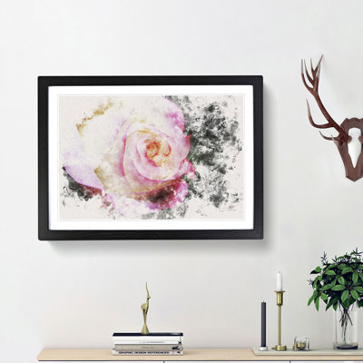 Pink Tipped Rose - Framed Print
