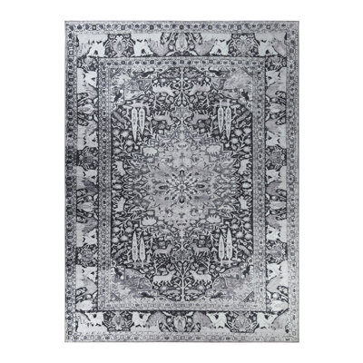 Dragomira Washable Oriental Indoor Rug
