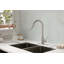 Robinet de cuisine avec douchette extractible-118350834