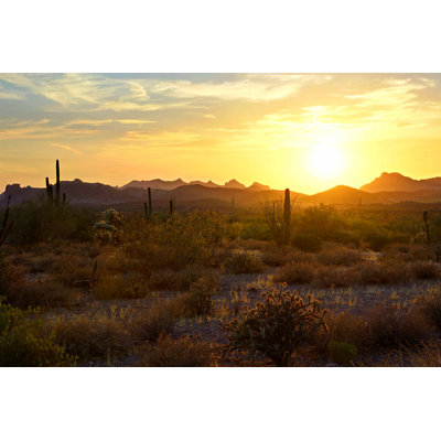 Coucher de soleil sur le désert de l'Arizona par Jenifoto - Photographie de toile tendue