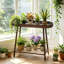 plant stand Iron Plant Stand 2 Tier