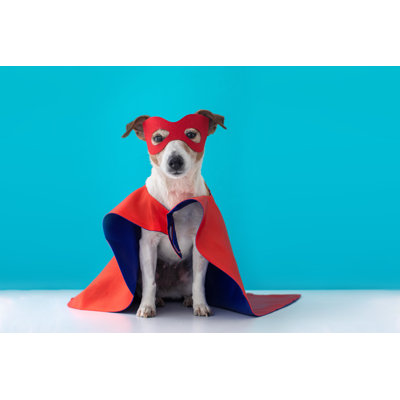" Dog Super Hero " by Demkat