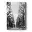 French Avenue - galerie Cavas sur mesure-1117072796