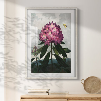 Vivaciously Changing II -Gallery Wrapped Canvas