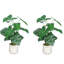 30 "plante tropicale artificielle feuille d'alocasia avec pot blanc 2pc / ensemble