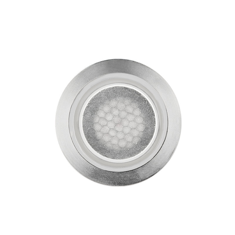 LED Well Light, Stainless Steel