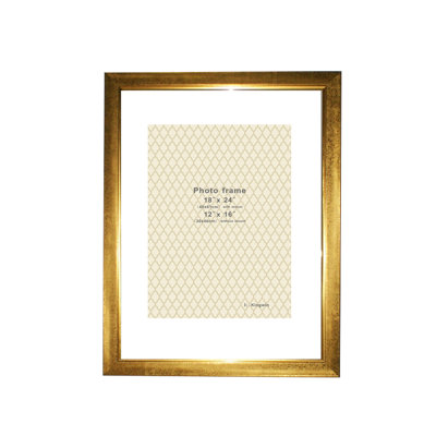 Doby Gold Beveled Picture Frame with Mat