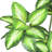 Artificial Dieffenbachia Tree in Pot
