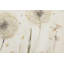 Dandelion Meadow Hand Painted Acrylic Painting