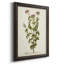 Antique Herb Botanical I - reproduction d'art sur toile encadrée-309662790