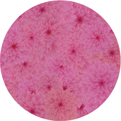 Chloe-Ann Floral Indoor Rug