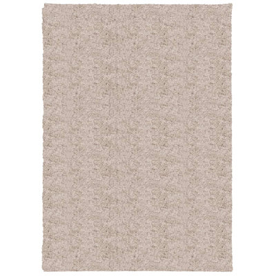 Brooten Solid Colour Area Rug