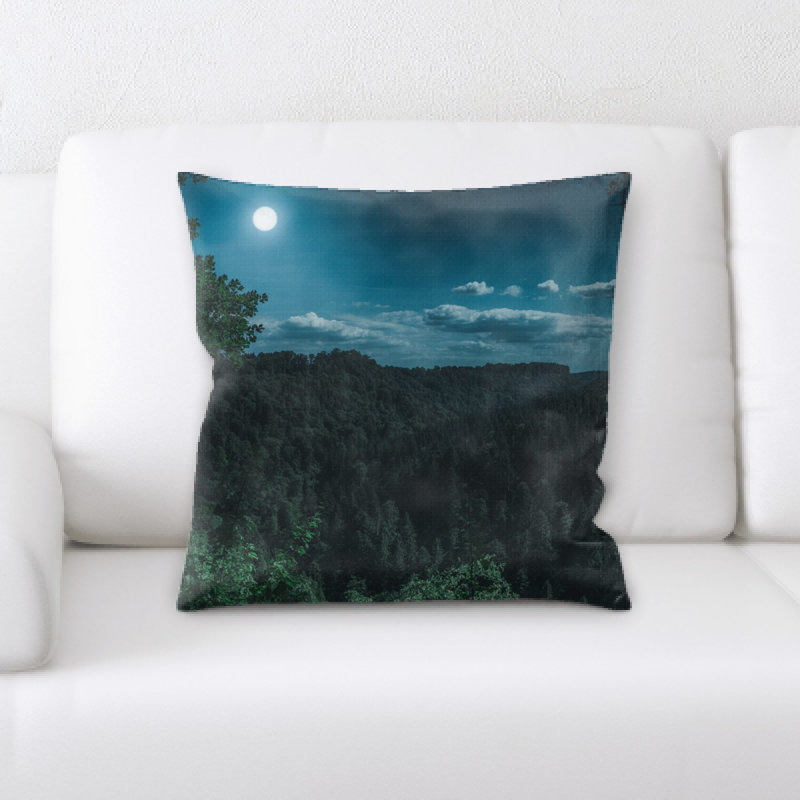 Coussin décoratif nature