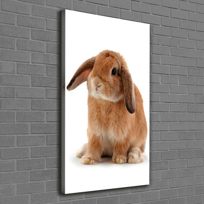 Rabbit - Wrapped Canvas Print