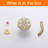 Fixed Shower Head 1.75 GPM-66970106
