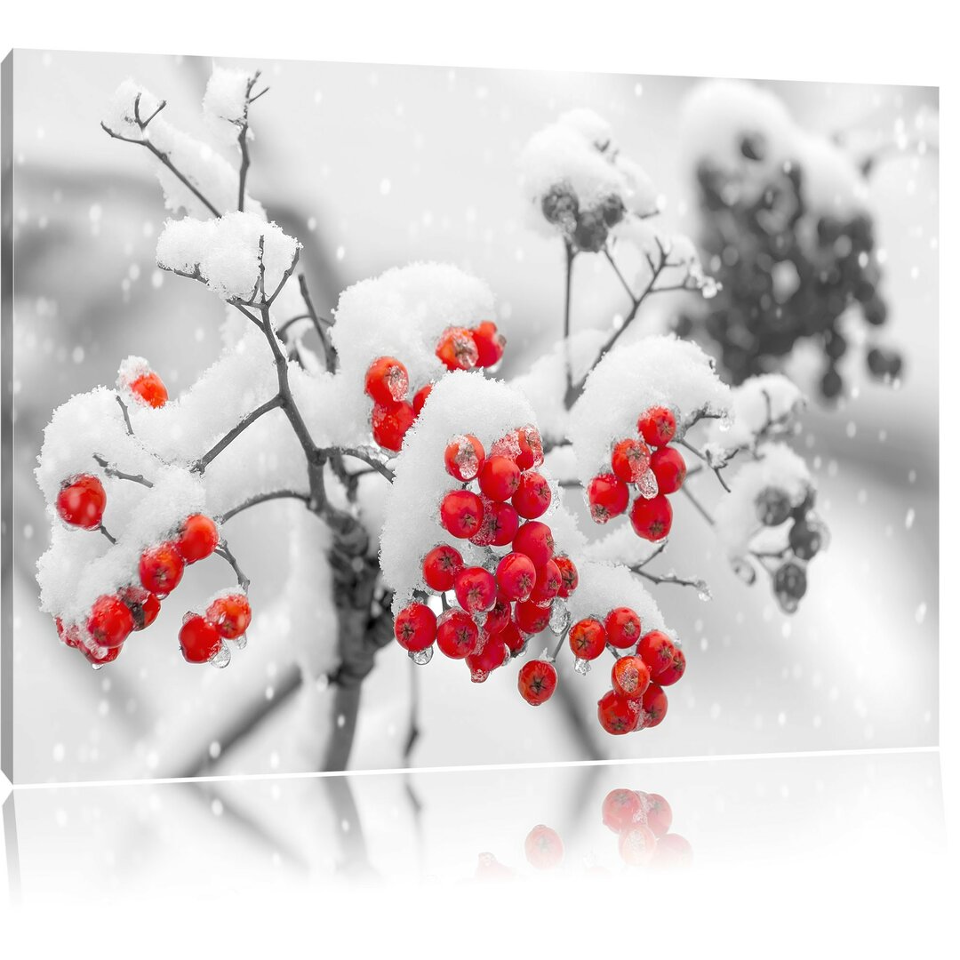 Leinwandbild Red Rowan Berries in Winter