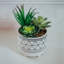 Plante molle artificielle en pot-35758085-35758087