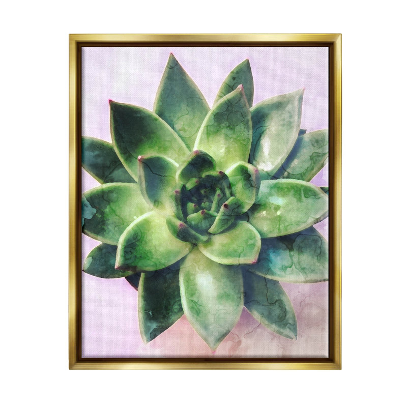«Round Succulent Plant Leaves» par Daphne Polselli, H 21 po x l 17 po x P 1,7 po, Cadre flottant métallique doré