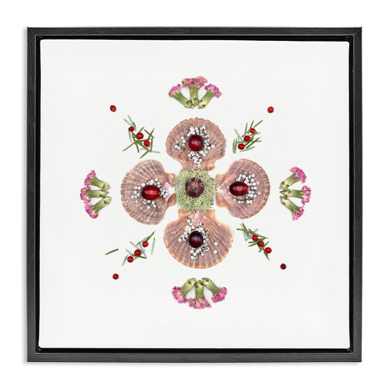 Cadre flottant Clam Shells & Botanicals, conception par Beth Adoette, H 25 po x l 25 po, Cadre flottant noir de jais
