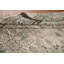Tapis turc anatolien vieilli 6 x 9