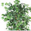Arbre ficus artificiel en pot-25768685