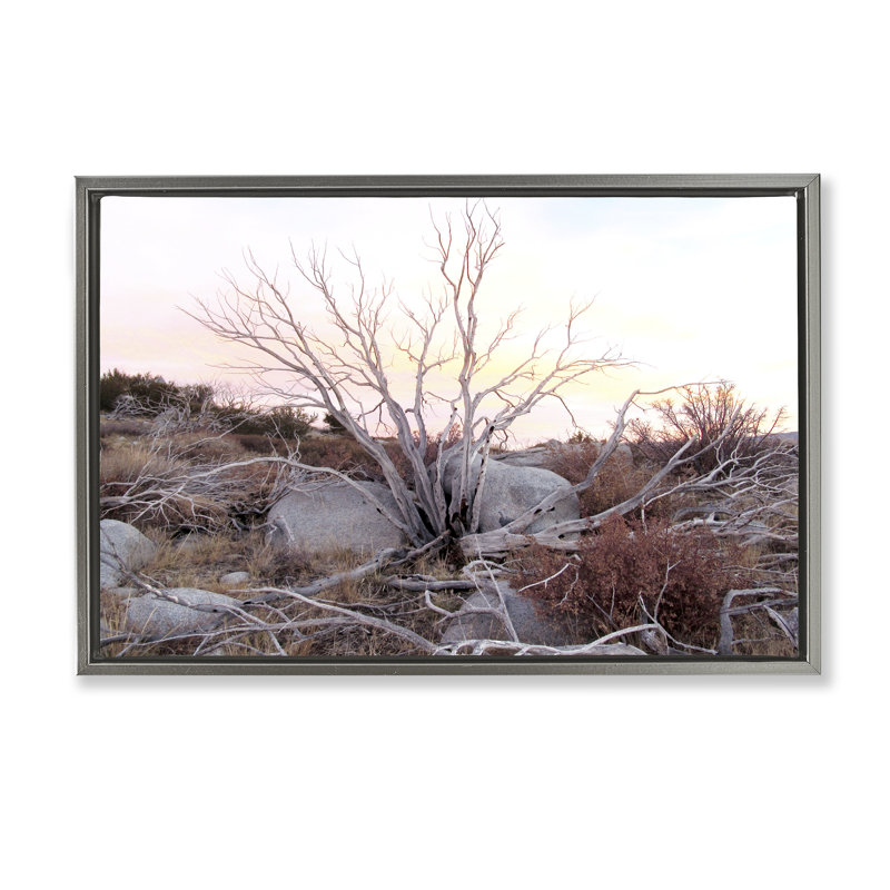 Cadre flottant Rocky Foothills Terrain, design par Gemma Bardot, Cadre flottant gris lustré, H 21 po x l 31 po