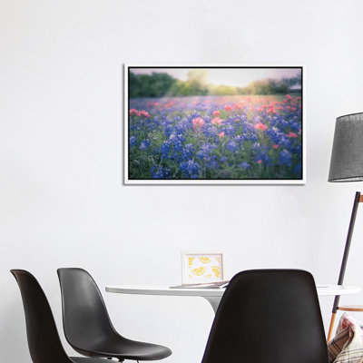 Texas Bluebonnets by Ann Hudec - Print on Canvas
