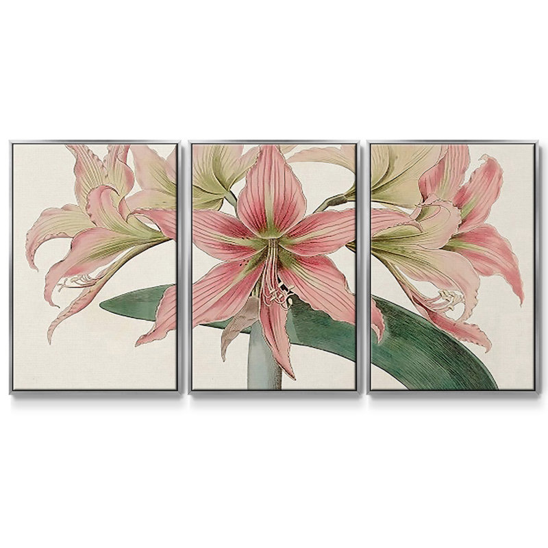 Amaryllis Varietals I 3 pièces, H 24 po x l 48 po x P 2 po, Argent