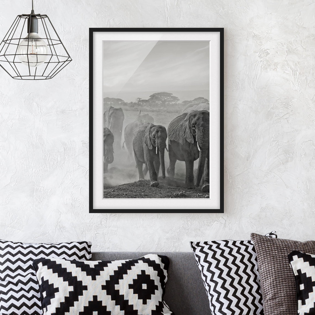 Gerahmter Fotodruck Herd of Elephants