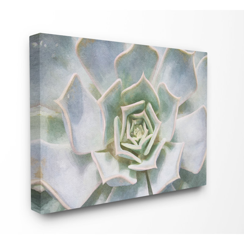 « succulent plante délicate rosée », impression, H 16 po x l 20 po x P 1,5 po, Toile