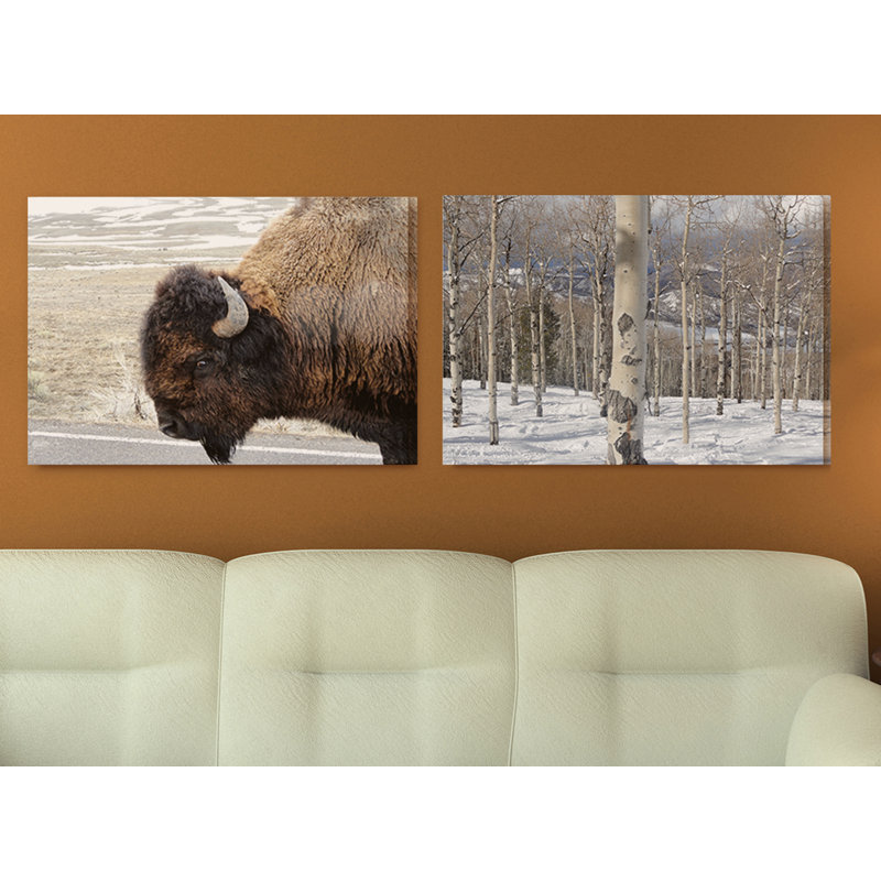 «Beautiful Buffalo», reproduction de photo, H 11 po x l 14 po, Giclée encadrée noir minuit