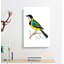 Wagtail Bird by George Shaw - Wrapped Canvas-55330521