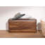 Sydney Blanket Chest-41159493