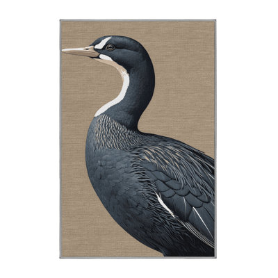  Tapis lavable American Coot Birds