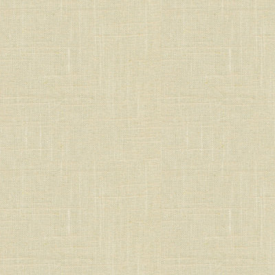 Perfect Plains Barnegat Linen and Viscose Fabric