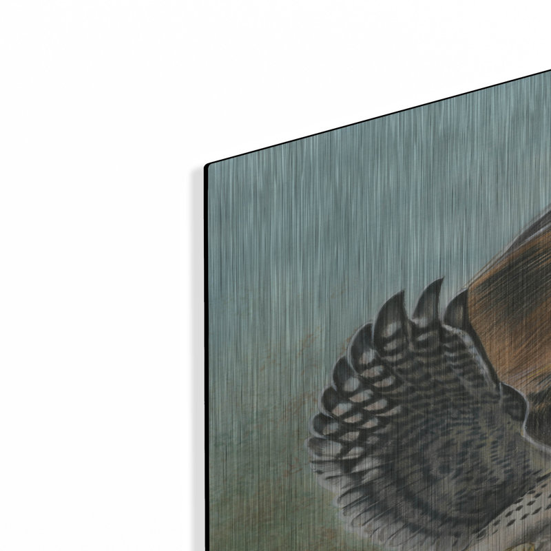 «American Kestrel» par Barbara Keith, H 36 po x l 24 po