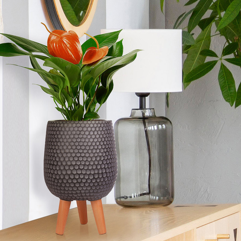 Honeycomb Style Egg Planter with Feet, 34cm H x 22cm W x 22cm D, Black