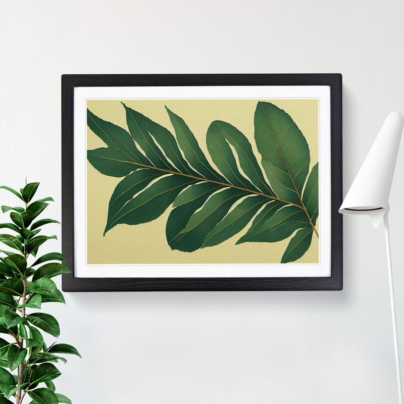 XH1022-7165X Pretty Leaves Vol.3 - Single Picture Frame Print, Black, 46cm H x 64cm W