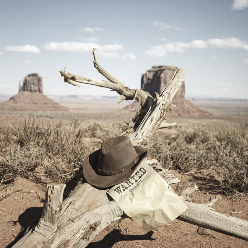 «Brown Has» par Vwalakte - photographie sur toile tendue, H 12 po x l 12 po