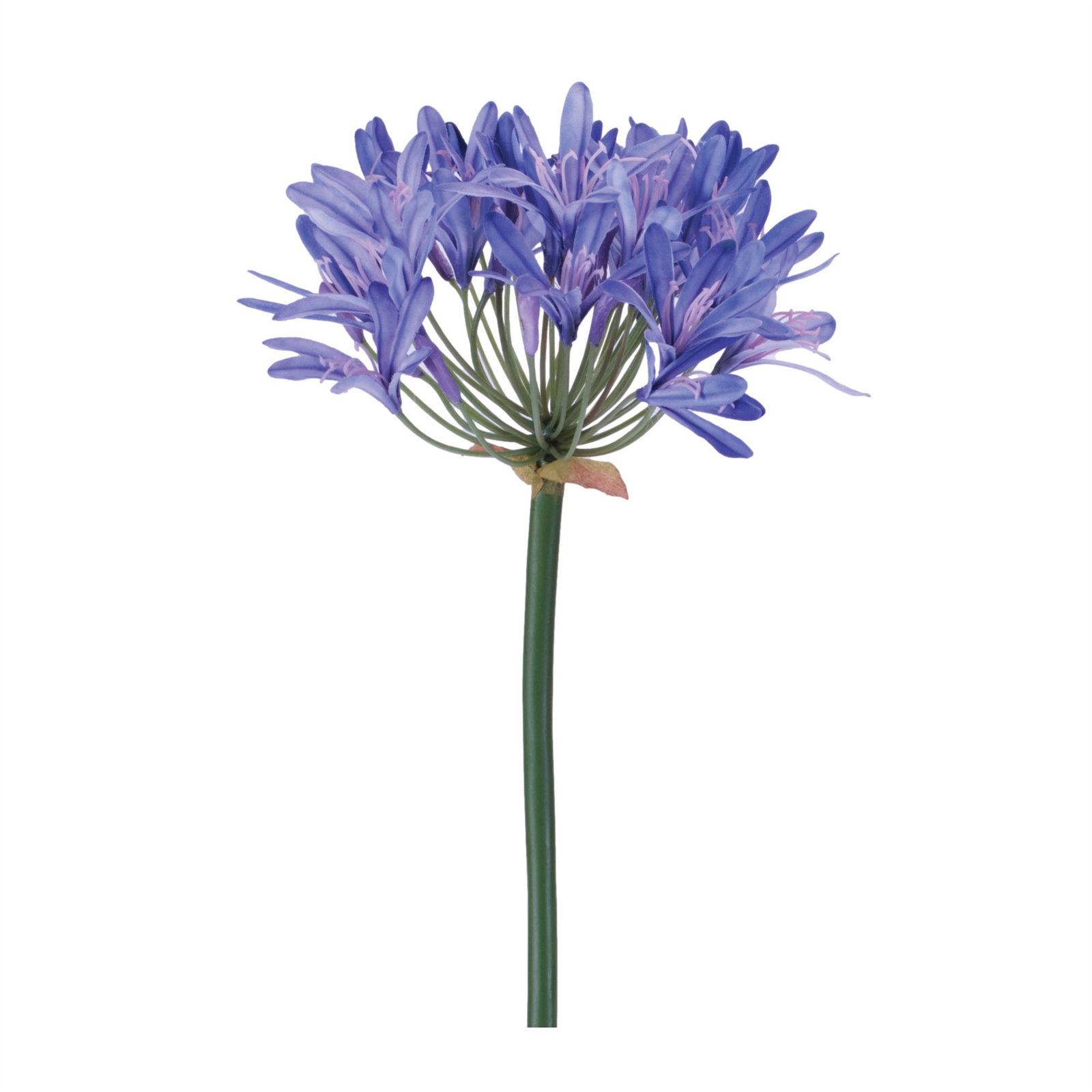 Agapanthus Flower Stem (Set of 2), Green, Purple, Pink