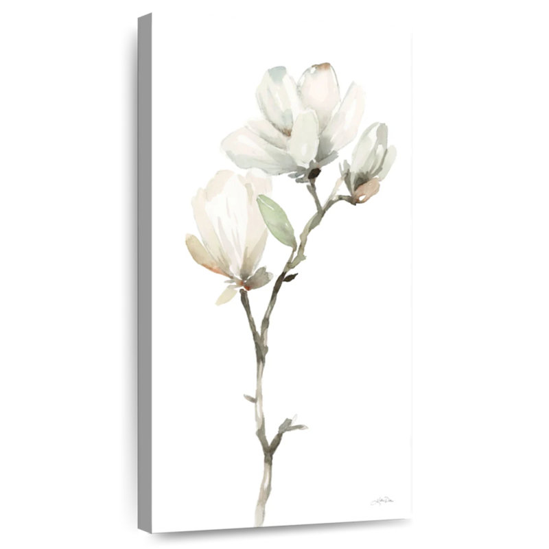 Blanc magnolia II