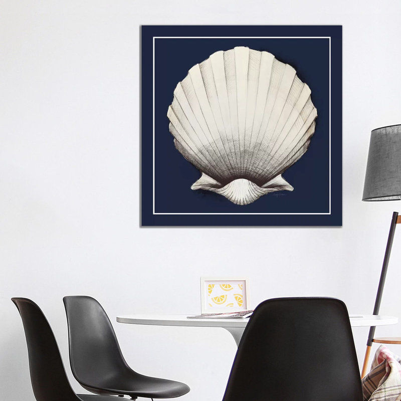Coastal Shell II With Border Navy by Avery Tillmon - Wrapped Canvas Print, 93.98 cm H x 93.98 cm W