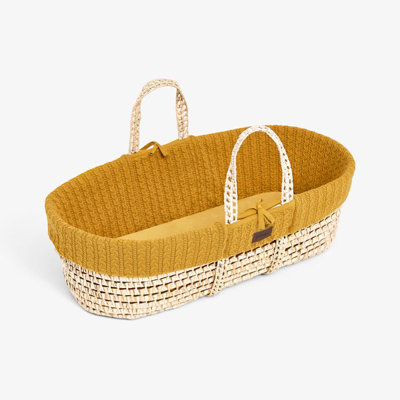 Moses Basket with Mattress