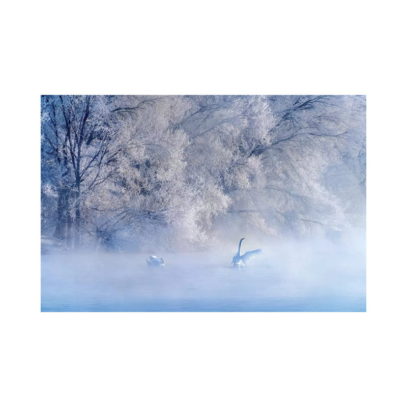 Swan Lake by Hua Zhu - Wrapped Canvas Print, 45.72cm H x 66.04cm W x 1.9cm D