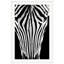 Dynamic Zebra 2 Print by Mat Sanders