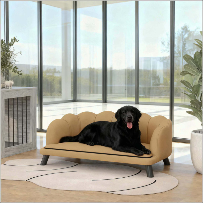 Luxueux canapé pour animal de compagnie avec coussins moelleux et structure robuste pour un confort et un style ultimes, Café