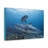 Tiger Shark Hunting Tiger Shark on Hunt Print Animal Wall Art-2011556921