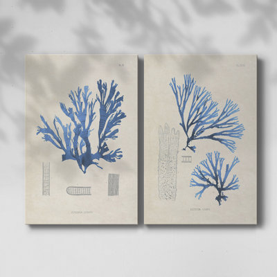 Blue Marine Algae IX-Premium Gallery Wrapped Canvas -Ready to Hang
