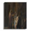 Wrapped Canvas Print Set-527757397